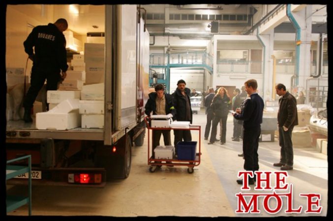 the-mole-06