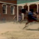 03.tiff copy