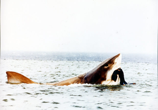 CRUEL-JAWS-22