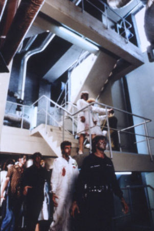 VIRUS-36