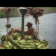 VP_BananaJoe_00122