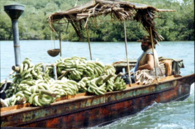 fbanana (9)
