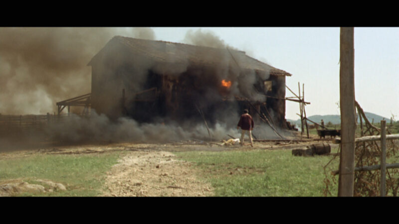 immagine 7 Django