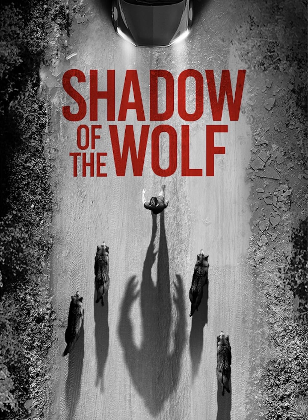 shadow usa